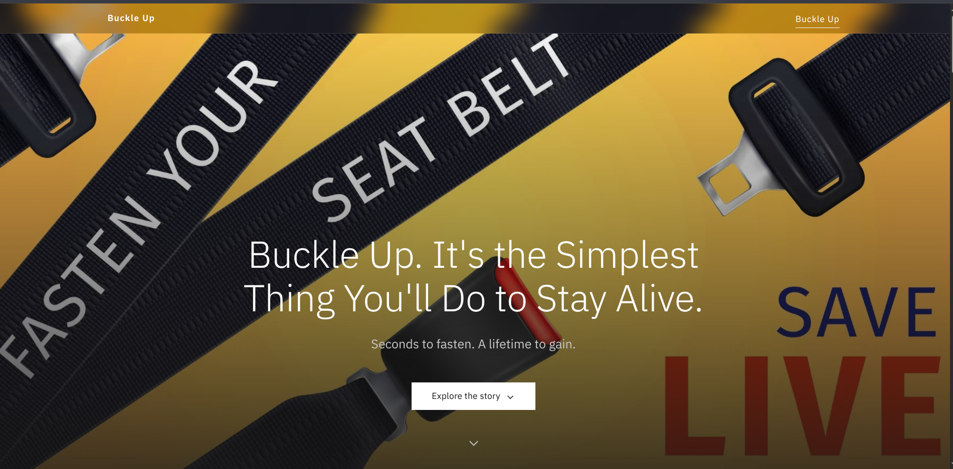 Screenshot of seatbelt.0bricks.com, a site built with 0bricks
